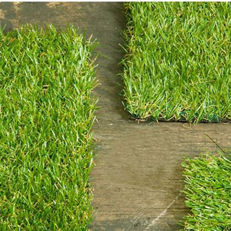 Grass