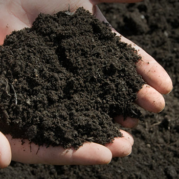 Bark, top soil, turf